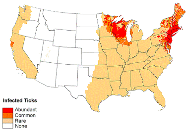 Lyme-Disease-Map